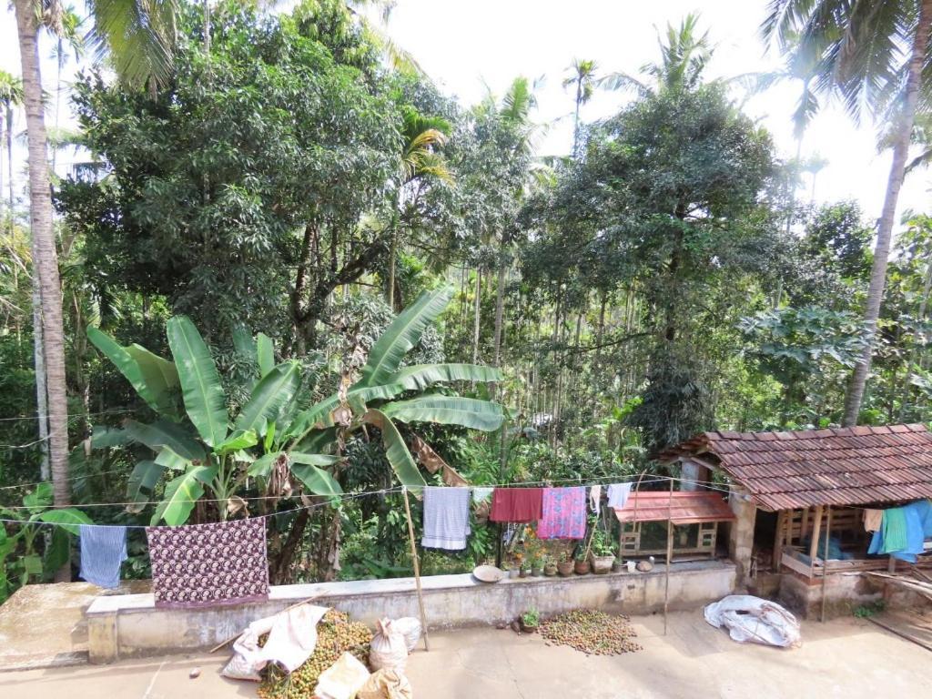 Spice Garden Farm House Sultan Bathery Exterior photo