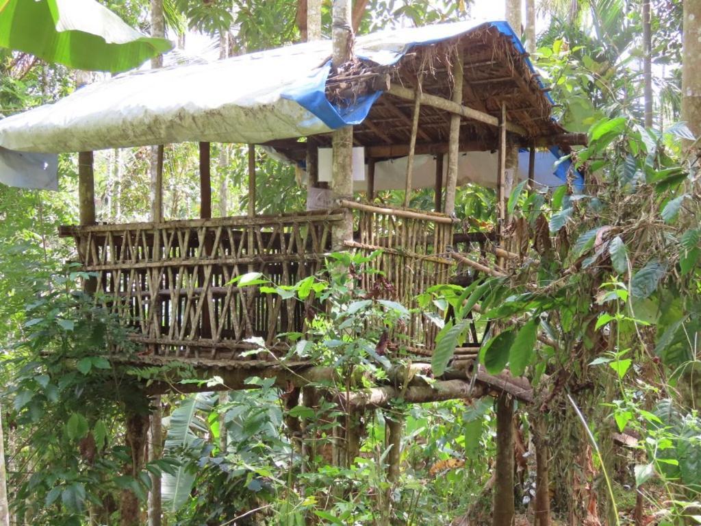 Spice Garden Farm House Sultan Bathery Exterior photo